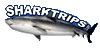 Shark Trips